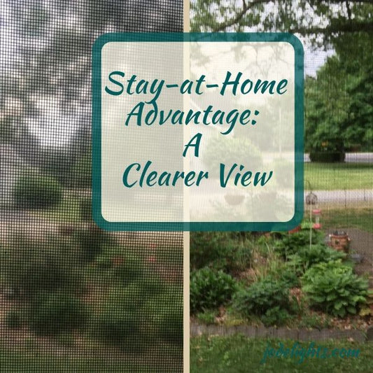 a clearer view, after plastic is removed from porch windows