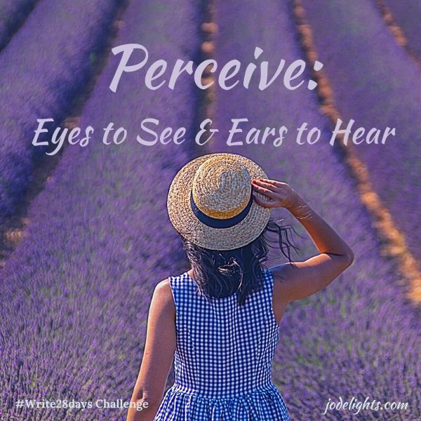 Perceive-Eyes to See and Ears to Hear