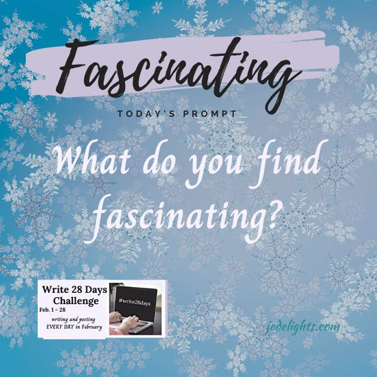 What do You Find Fascinating?