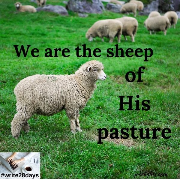 A Good Shepherd Takes Good Care of His Sheep