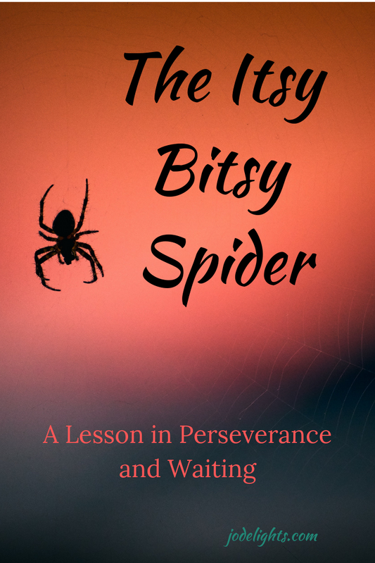Itsy Bitsy Spider/A Lesson of Perseverance and Waiting