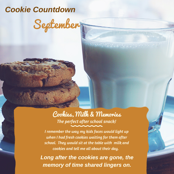 The Best Cookies Recipe Book