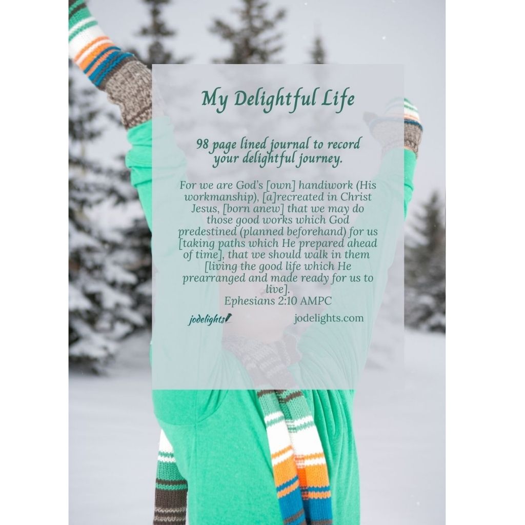 My Delightful Life Winter Journal (6 x 8.5)