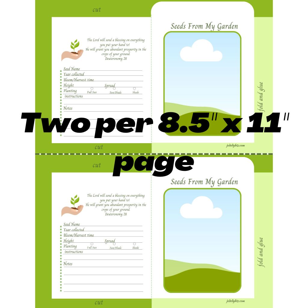Seed Packet Canva Template